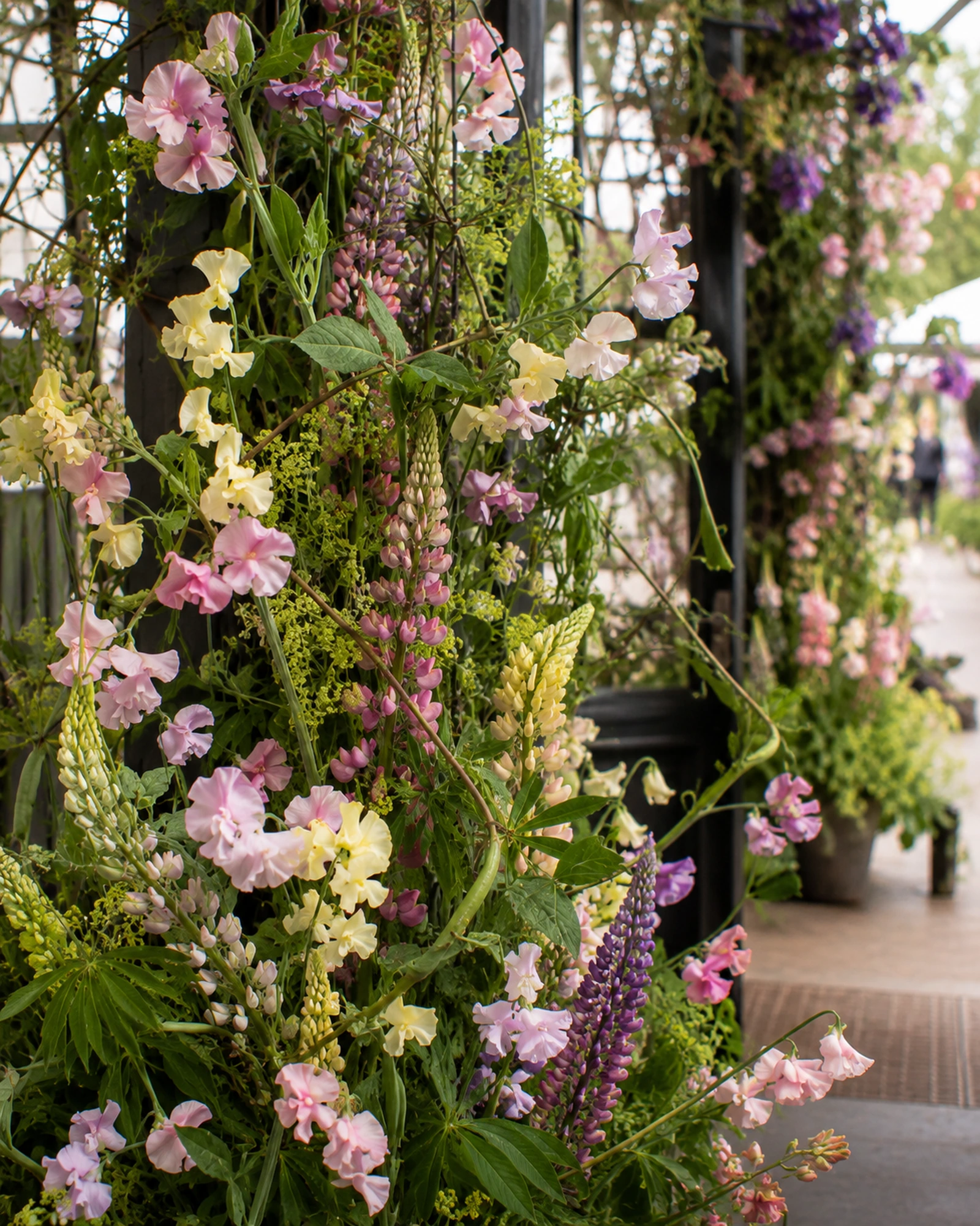 Chelsea installation detail with tangling sweet peas, lupins and bean vines in butter yellow and mauve.